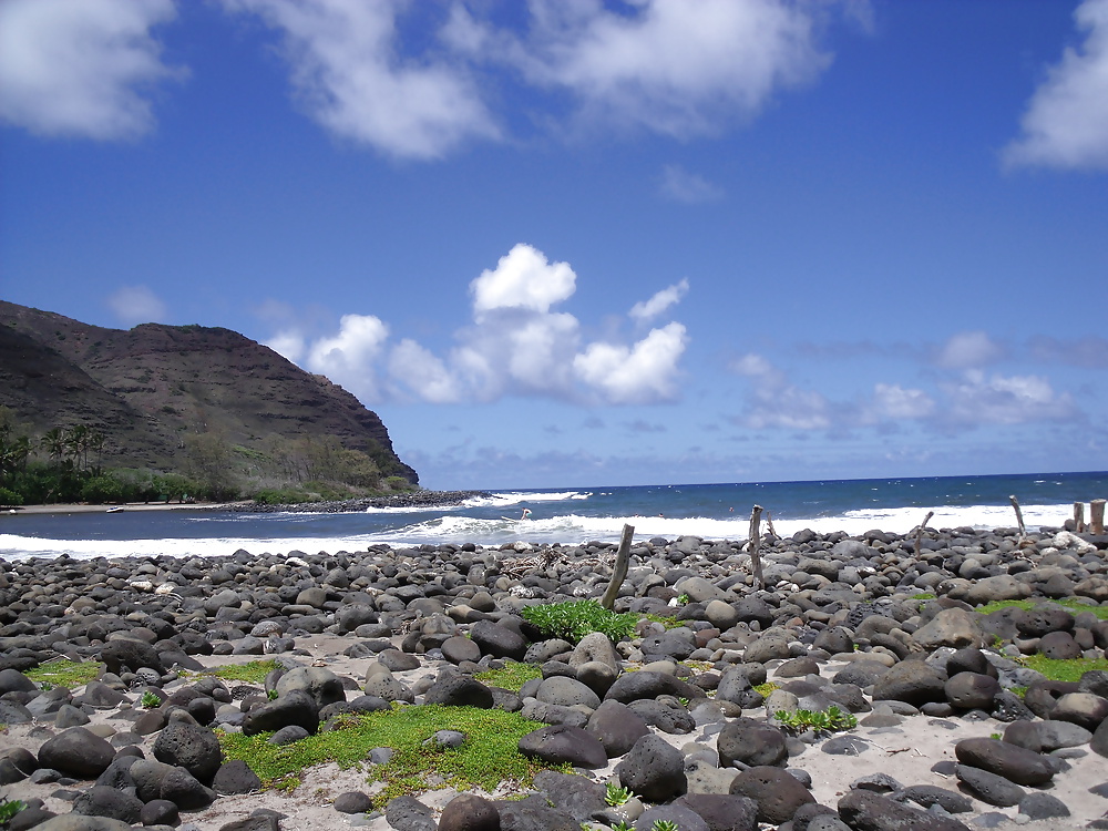 Hawaii beaches #40688224