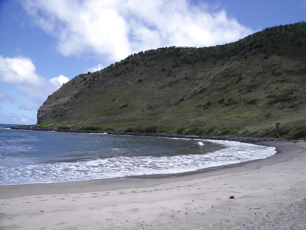 Hawaii beaches #40688246