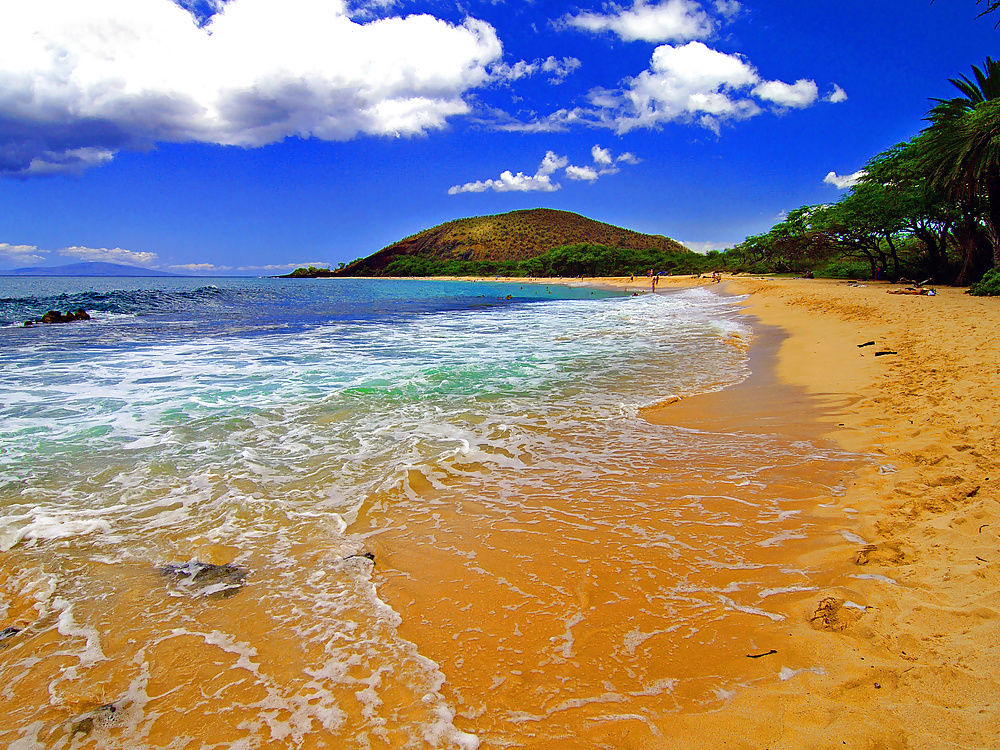 Playas de Hawaii
 #40688474