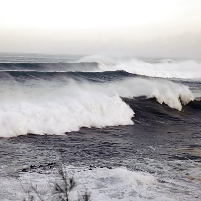 Hawaii beaches #40688518