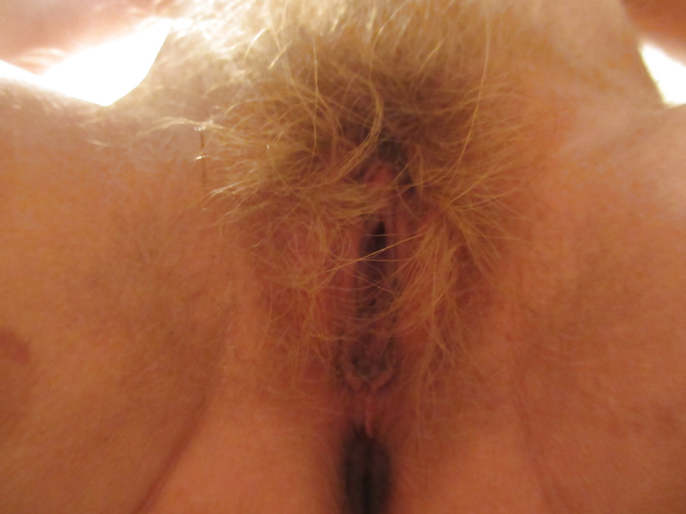 Hairy pussies 6 #31115523