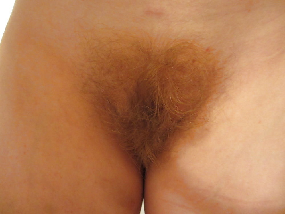 Hairy pussies 6 #31115527