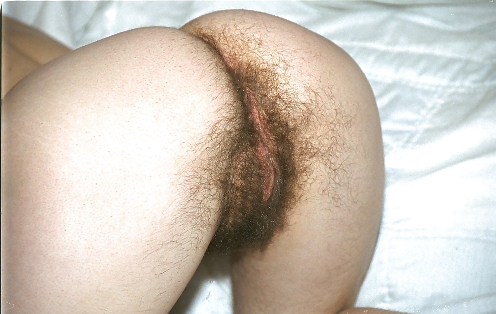 Hairy pussies 6 #31115572