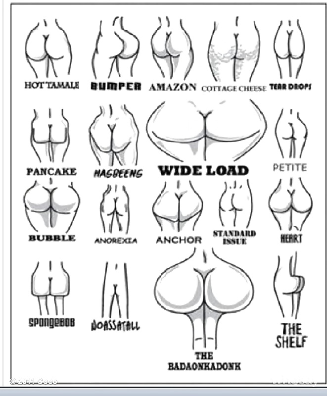 Find your booty  #25593962