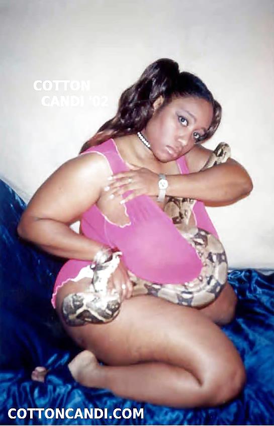 Natasha aikens-royster aka cotton candi
 #37329279