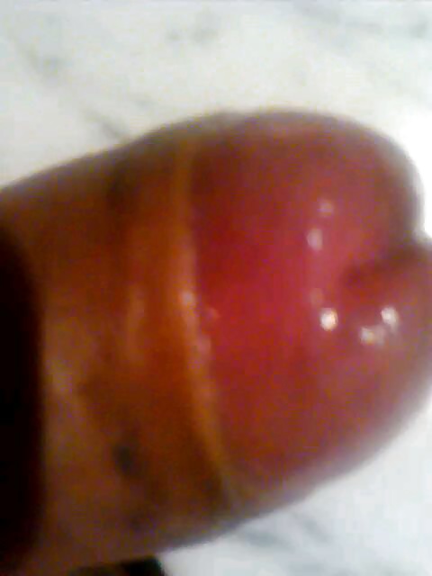 Mi polla (novedades). mi polla (novedades)
 #39992461