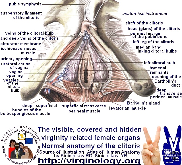 Diversión, teorías, cosas ..
 #36392804