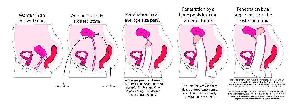 Diversión, teorías, cosas ..
 #36392902