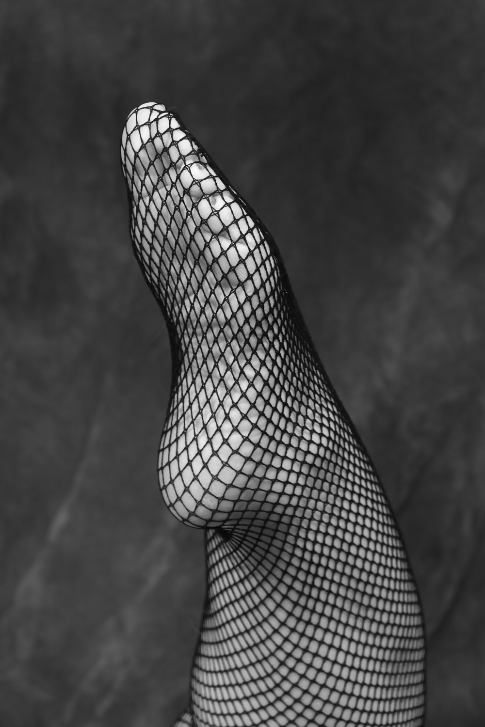 Kaylee B & W Netzstrümpfe #39411487