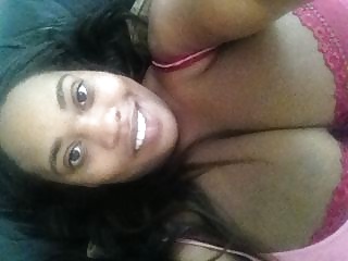 Berühmtheit Macromastia Schwarzen Möpse 2 #28150585