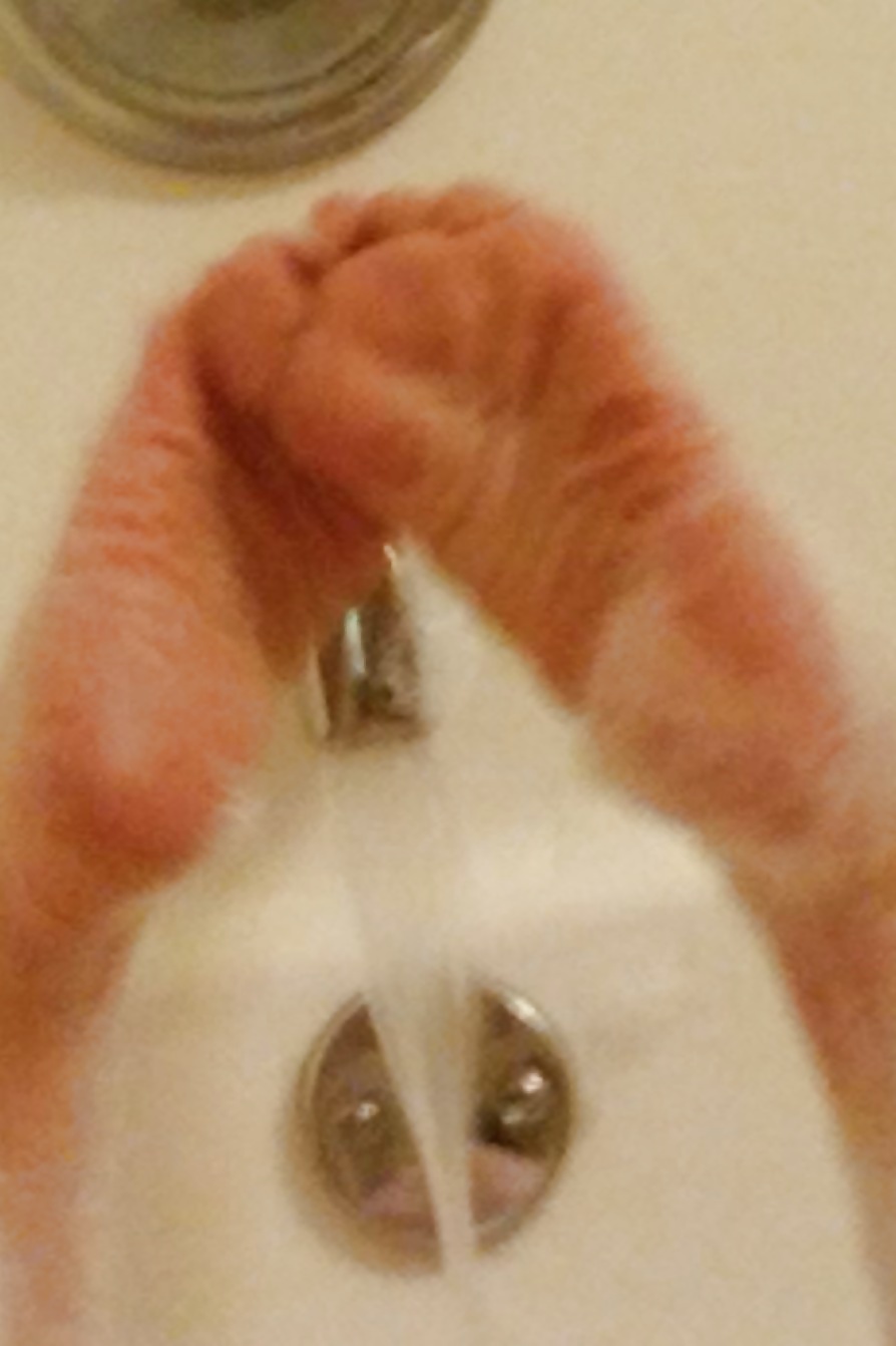 Bottoms up #33849870