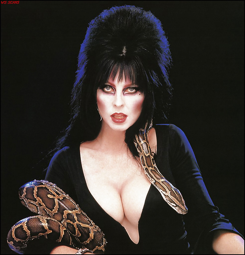 Elvira:Mistress of the Dark #32230922