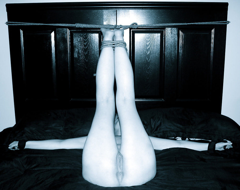 私の妻
 #32804512