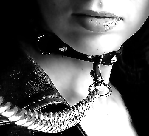 Janas art de la joie 459
 #32152840