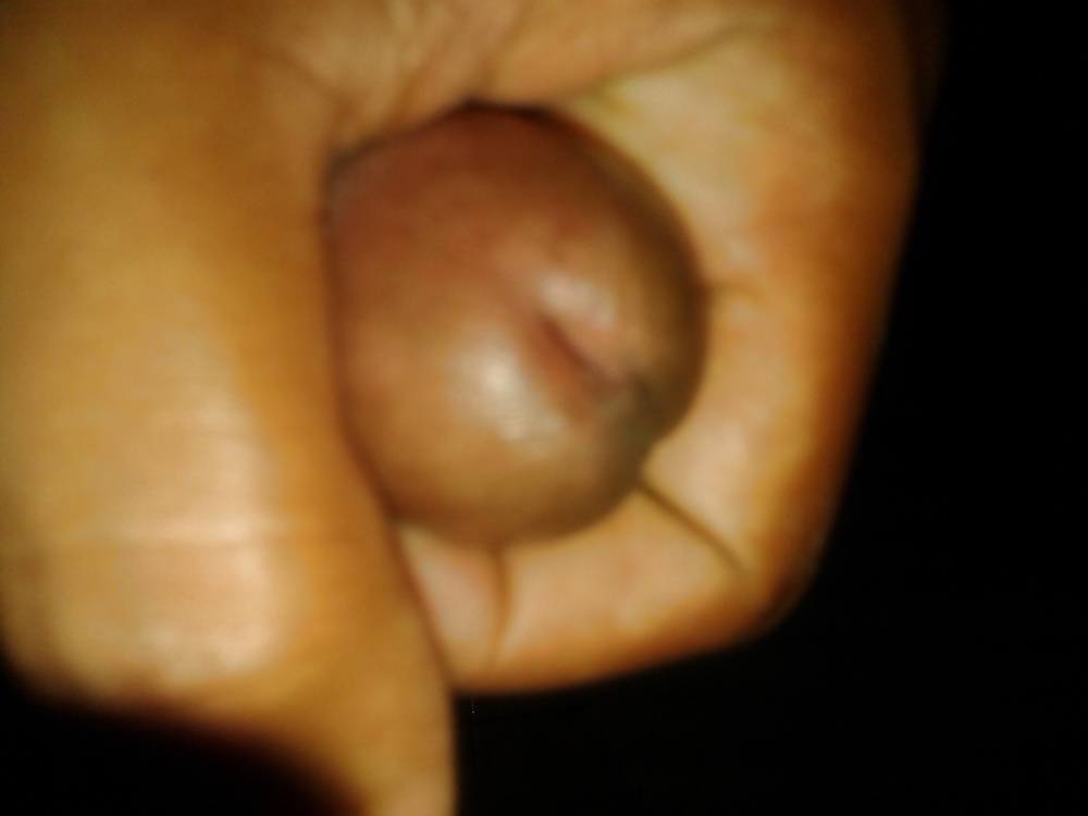 Delicioso
 #40355745