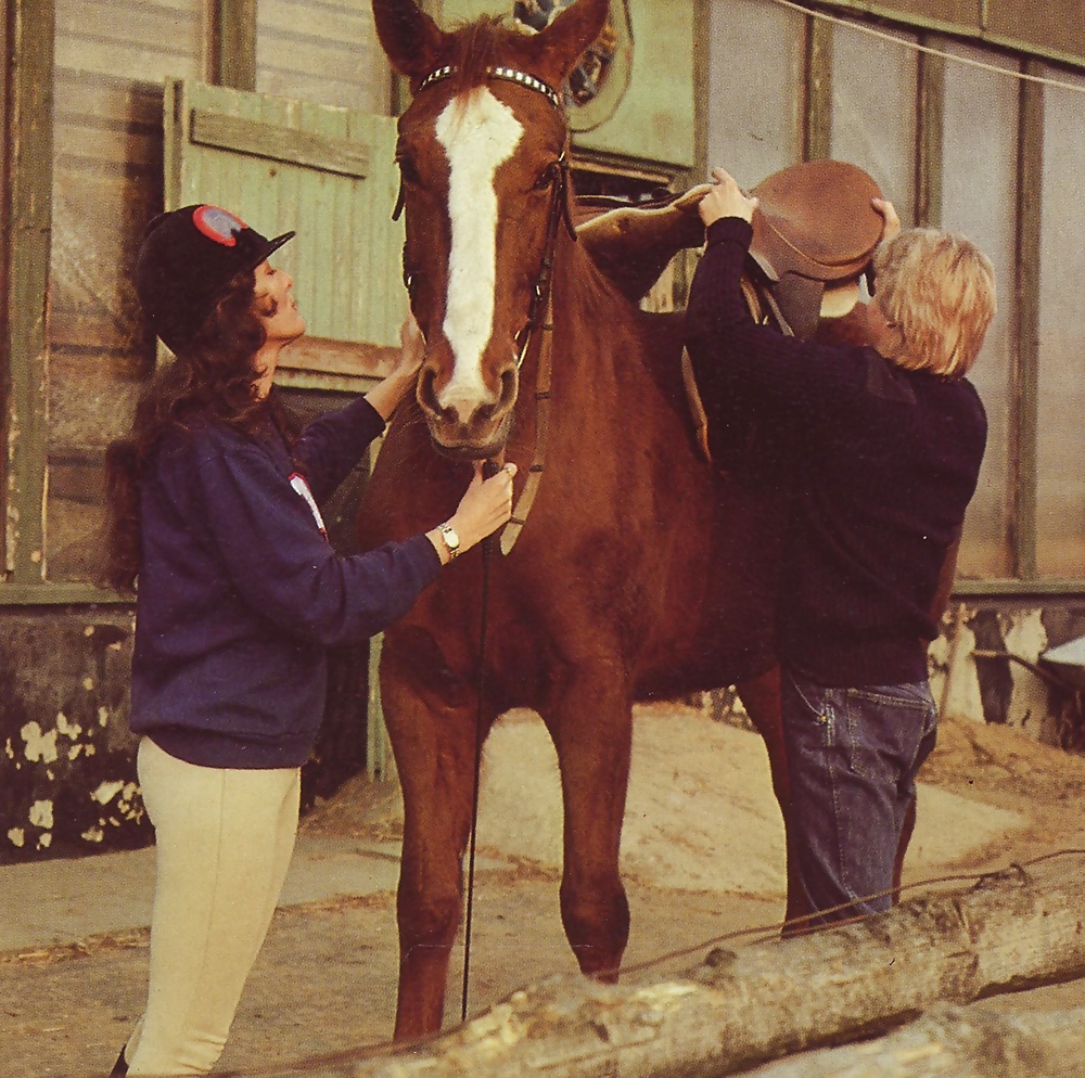 The Stable Hand #31394013