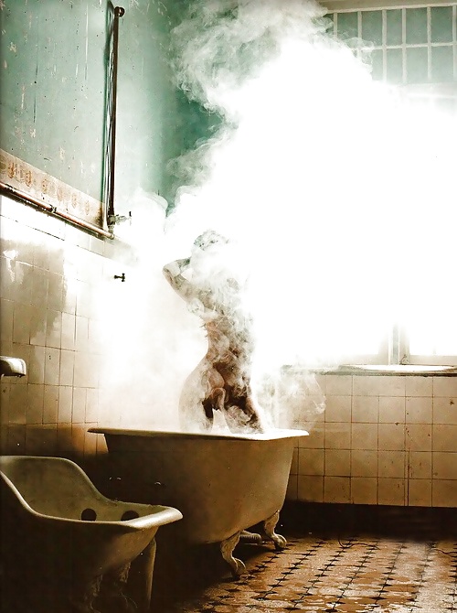 Erotica...Free Smells Edition #25906650