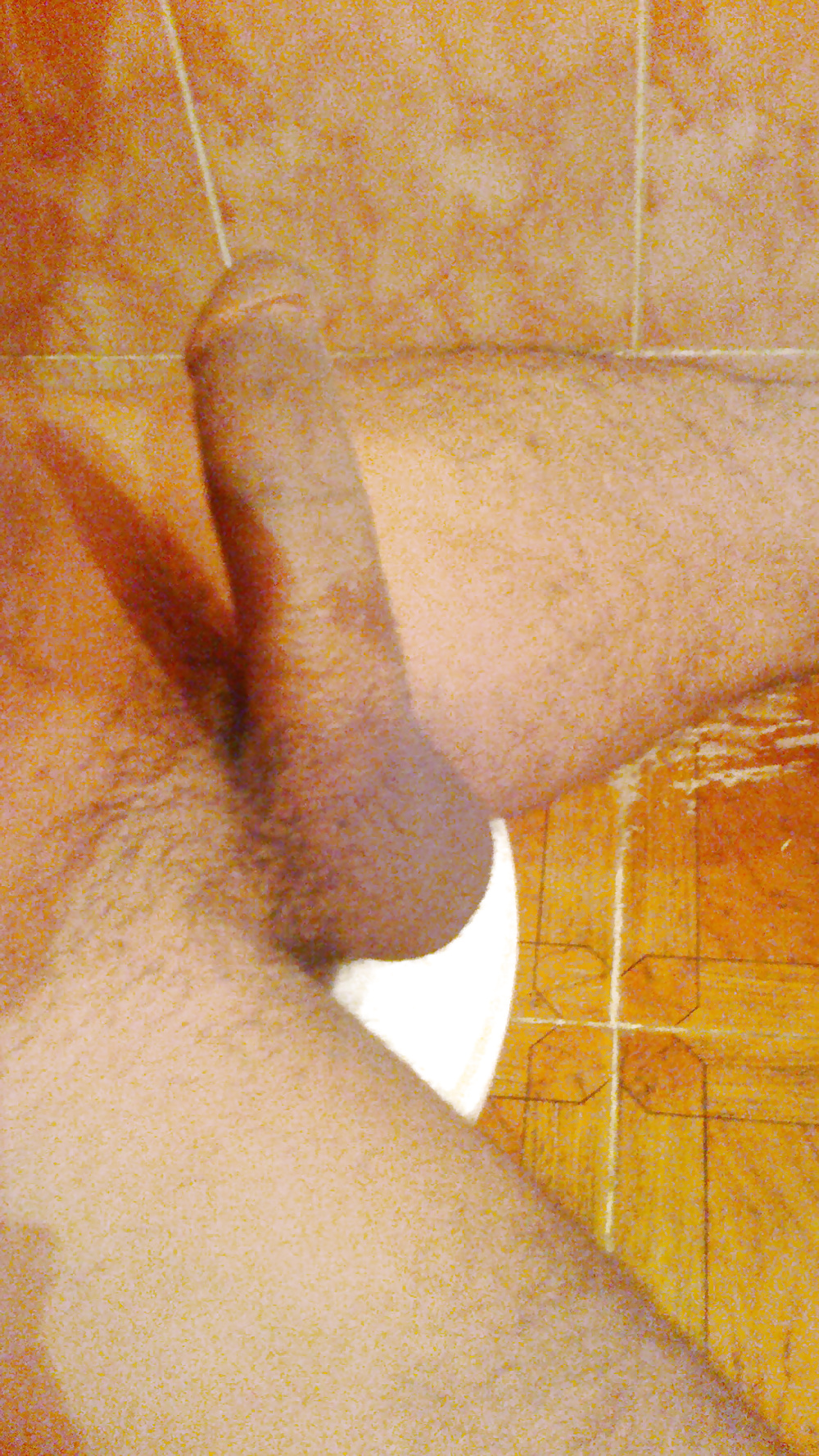 俺のメド
 #31137836