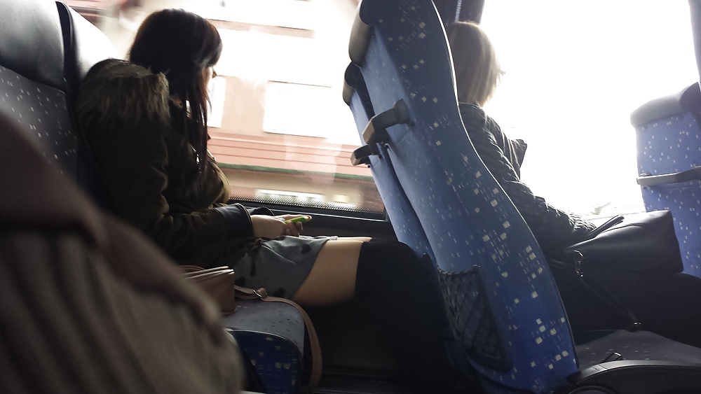 Hündin Auf Den Bus Super-Beine #40950024