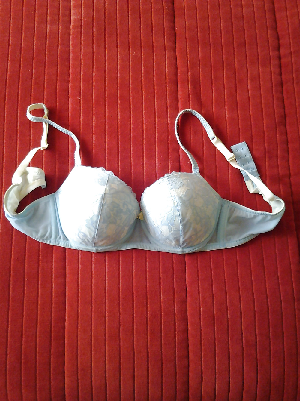 My wife bras #23318265