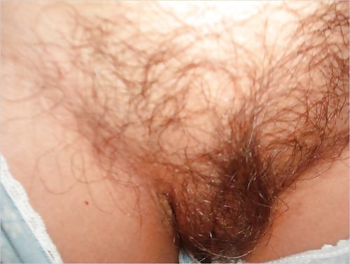 J'adore les femmes ayant une belle toison 178 #29511739