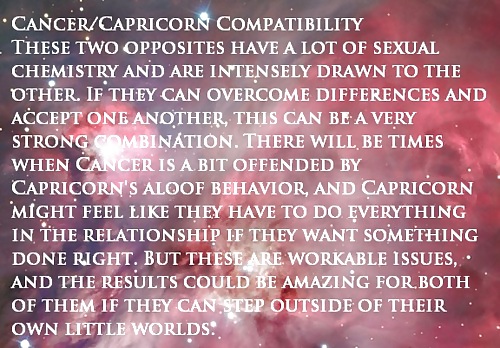 Funny Facts About Us CAPRICORNS #37536369