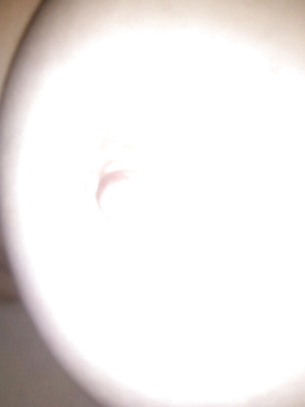 Lots of oline fun #28858081