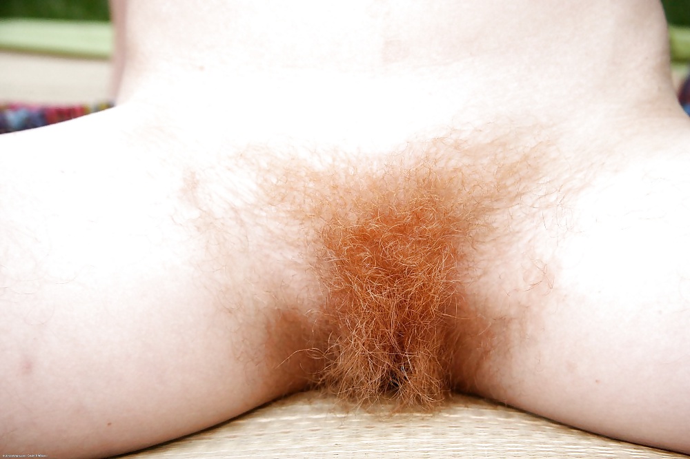 Thick Hairy Bush Close UPS #31271695