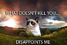 Funny for CW #34987089