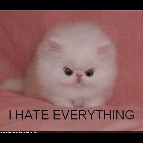 Funny for CW #34987116