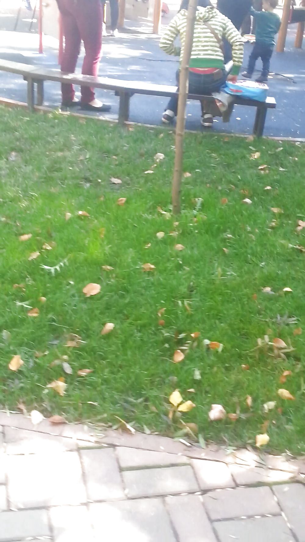 Höschen Parck Rumänisches Mädchen #23870203