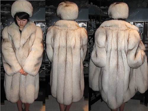 Girls in fur #33239374