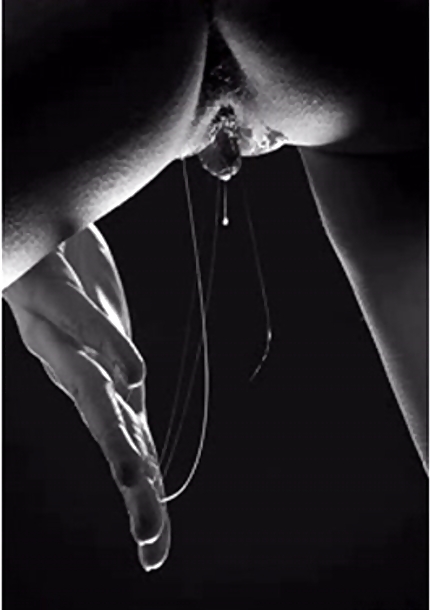 Fotos Web. #33529237