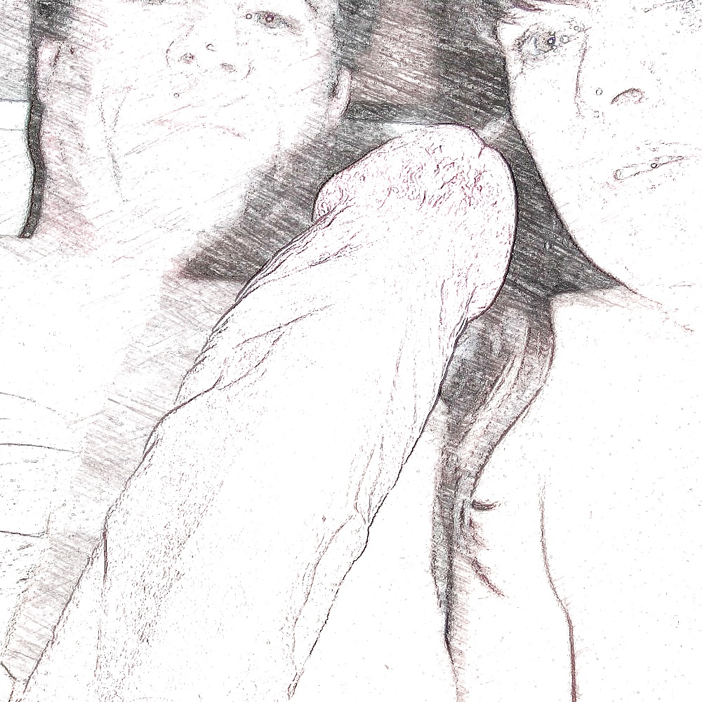 漫画のコック
 #40780755