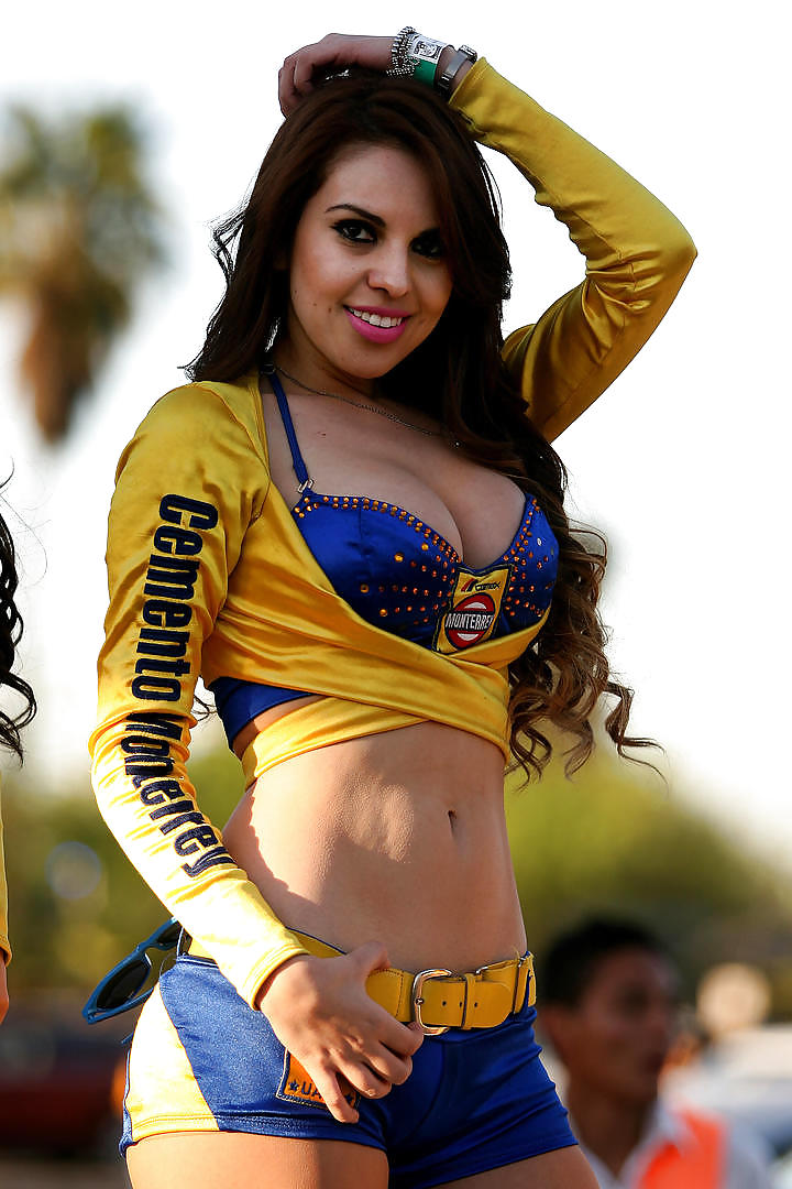 LINDAS ZORRITAS XIX #24171243