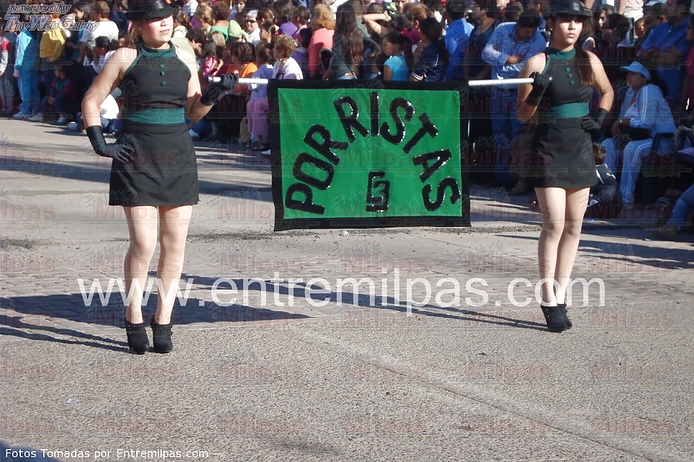 Lindas zorritas xix
 #24171322