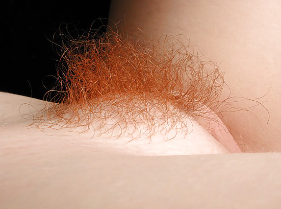 Redhead redheads natural hairy Shelovesit54 #39318948