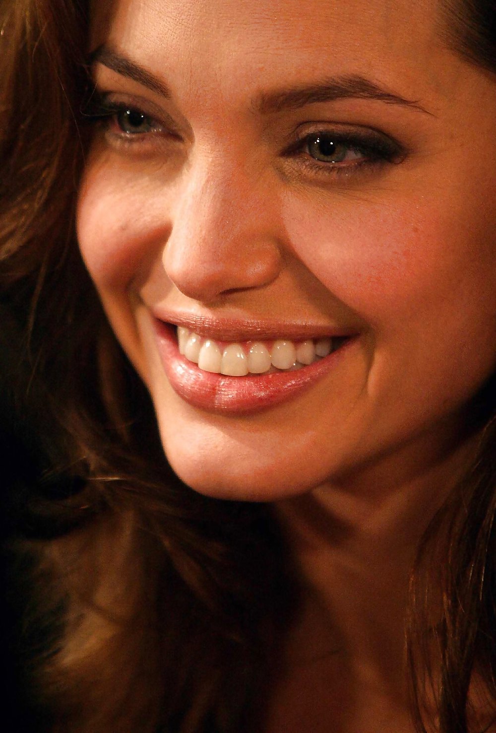 My Queen Angelina Jolie #35886244