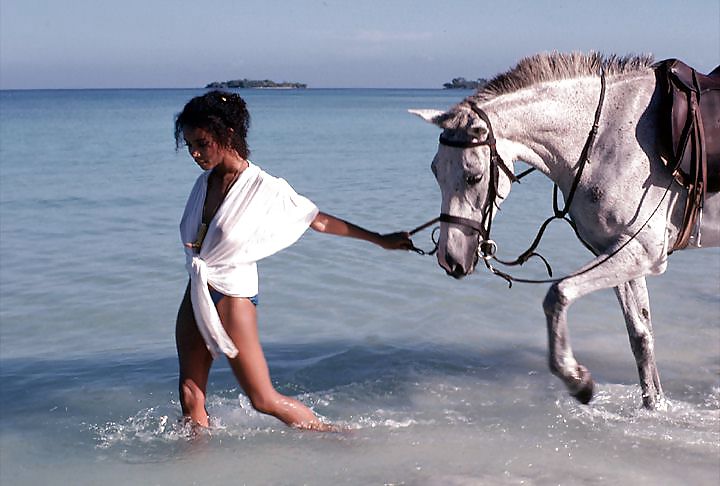 ロザンヌ・カトン - Sept. '78年プレイメイト
 #24529472