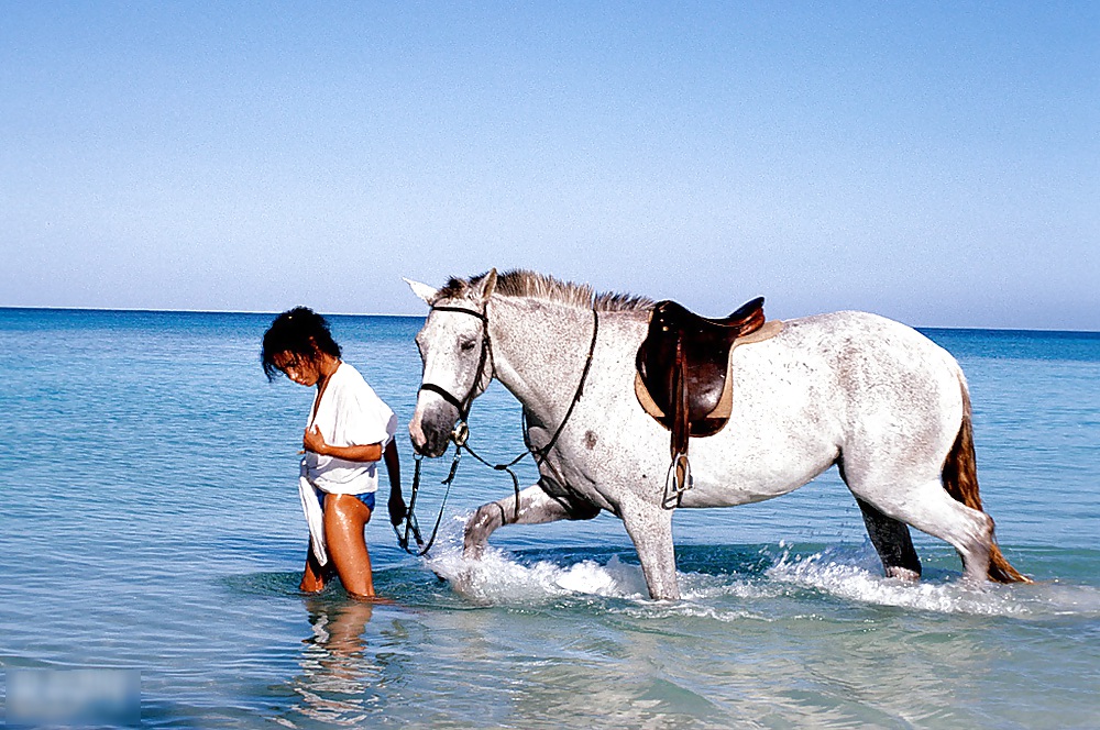 ロザンヌ・カトン - Sept. '78年プレイメイト
 #24529537