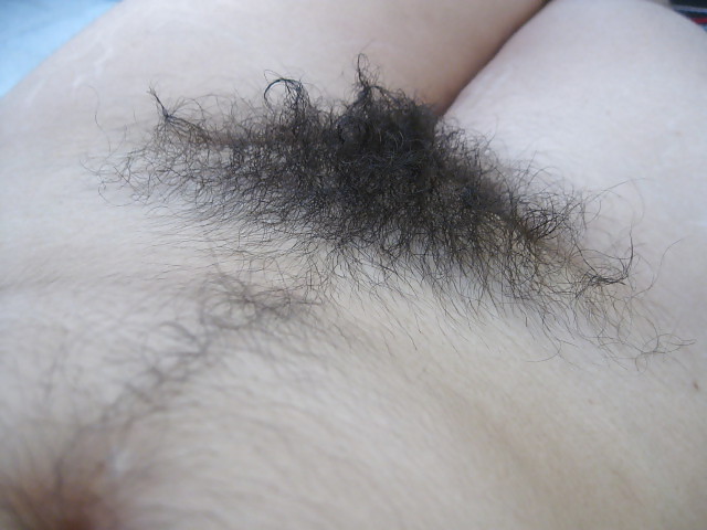 Hairy x-mas #25922981