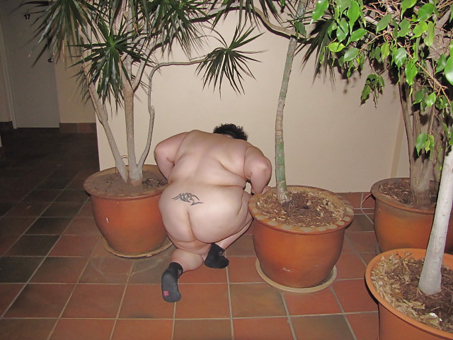 Moteles, hoteles y alojamientos
 #33954240