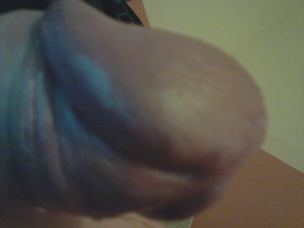 Cock #35029891