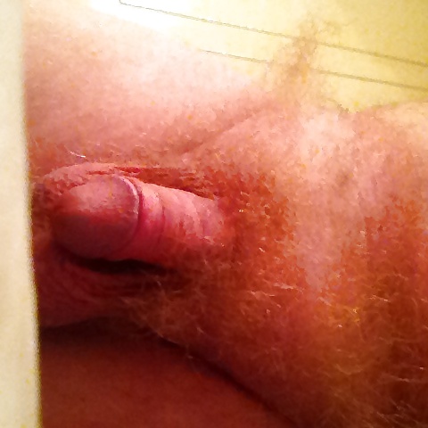 Hairy and blond #22964724