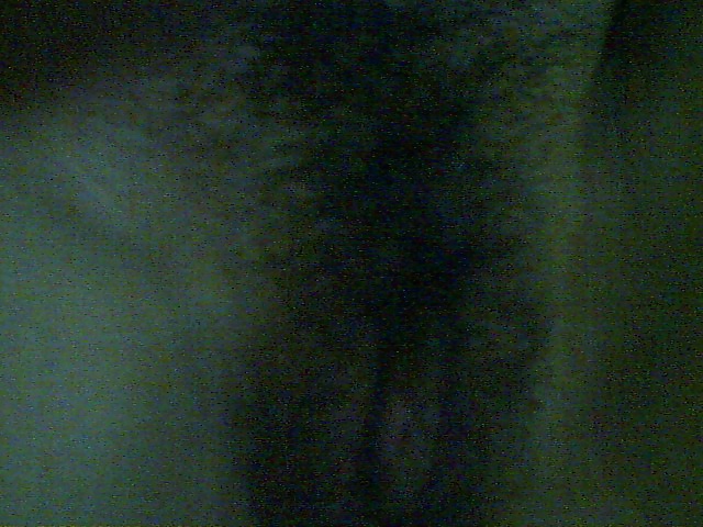 Ex Gf #30102551