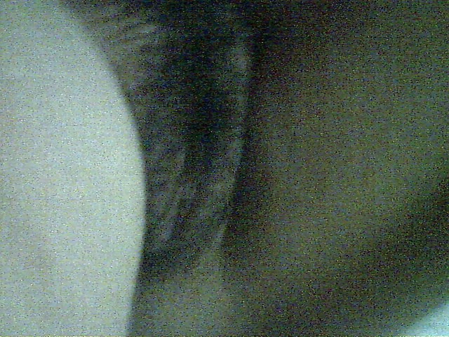 Ex Gf #30102566