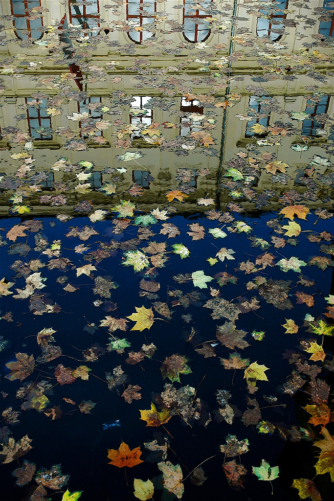 Herbstreflexionen #33191750