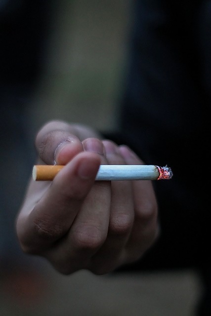 私の写真
 #31381539