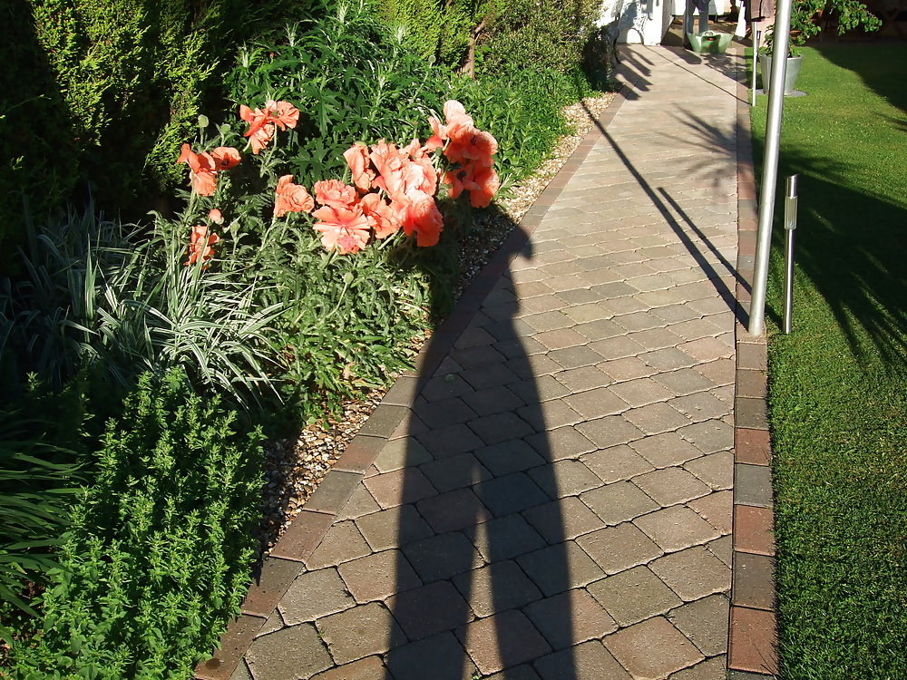 ナイスガール
 #39513795