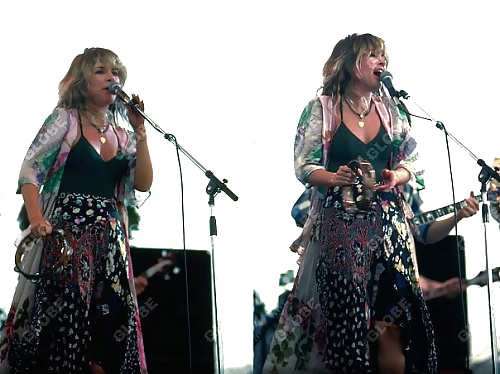 Stevie Nicks #27713104